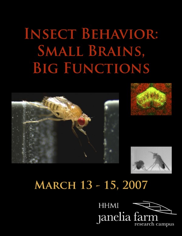 Insect Behavior Small Brains, Big Functions Janelia Research Campus
